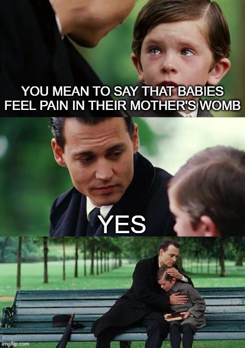 Pro-life Finding Neverland | YOU MEAN TO SAY THAT BABIES FEEL PAIN IN THEIR MOTHER'S WOMB; YES | image tagged in memes,finding neverland | made w/ Imgflip meme maker