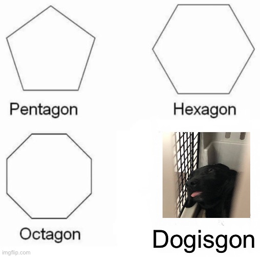 Pentagon Hexagon Octagon Meme | Dogisgon | image tagged in memes,pentagon hexagon octagon | made w/ Imgflip meme maker