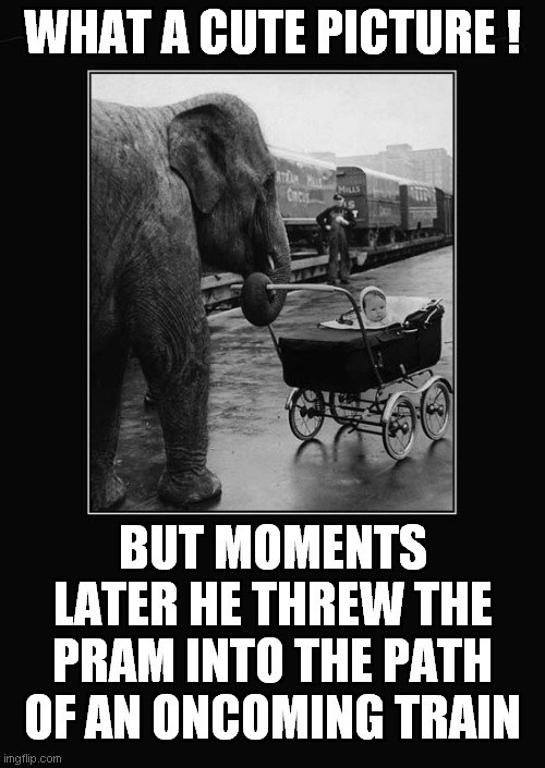 An Evil Elephant ? | WHAT A CUTE PICTURE ! BUT MOMENTS LATER HE THREW THE PRAM INTO THE PATH OF AN ONCOMING TRAIN | image tagged in elephants,evil,dark humour | made w/ Imgflip meme maker