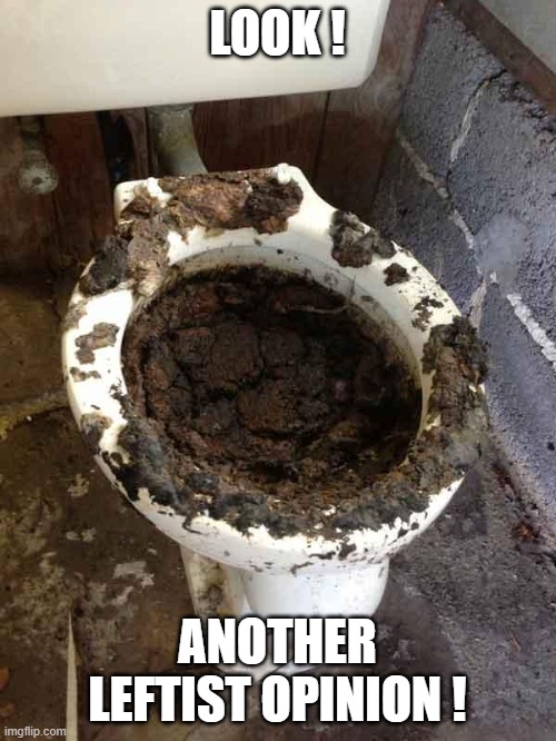 toilet | LOOK ! ANOTHER LEFTIST OPINION ! | image tagged in toilet | made w/ Imgflip meme maker