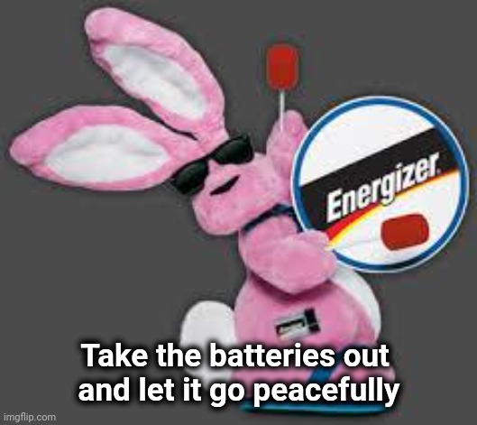 Energizer Bunny | Take the batteries out 
and let it go peacefully | image tagged in energizer bunny | made w/ Imgflip meme maker