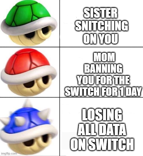 mario kart shells | SISTER 
SNITCHING
ON YOU; MOM
BANNING
YOU FOR THE SWITCH FOR 1 DAY; LOSING ALL DATA ON SWITCH | image tagged in mario kart shells,big brother | made w/ Imgflip meme maker