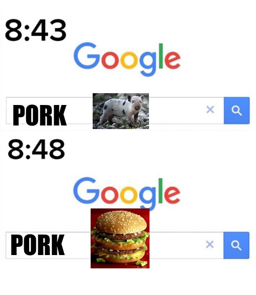 Pork before and after | PORK; PORK | image tagged in google before after | made w/ Imgflip meme maker