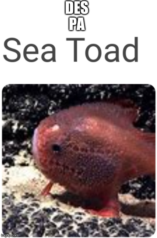 guys help my science teacher is telling me to hand in something i never did | DES
PA | image tagged in blank white template,msmg | made w/ Imgflip meme maker