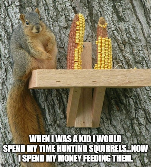 squirrel | WHEN I WAS A KID I WOULD SPEND MY TIME HUNTING SQUIRRELS...NOW I SPEND MY MONEY FEEDING THEM. | image tagged in happy squirrel | made w/ Imgflip meme maker