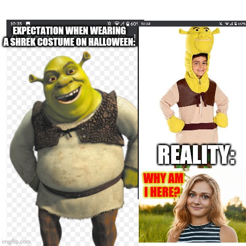 Every 5 year old has to have to gone through this | EXPECTATION WHEN WEARING A SHREK COSTUME ON HALLOWEEN:; REALITY:; WHY AM I HERE? | image tagged in shrek,truecomedy,relatable | made w/ Imgflip meme maker