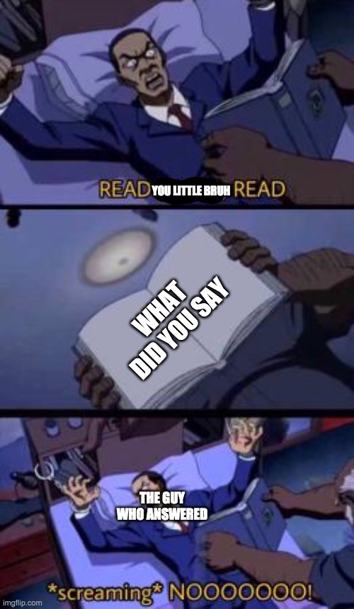 Read n***a, read | YOU LITTLE BRUH; WHAT DID YOU SAY; THE GUY WHO ANSWERED | image tagged in read n a read | made w/ Imgflip meme maker