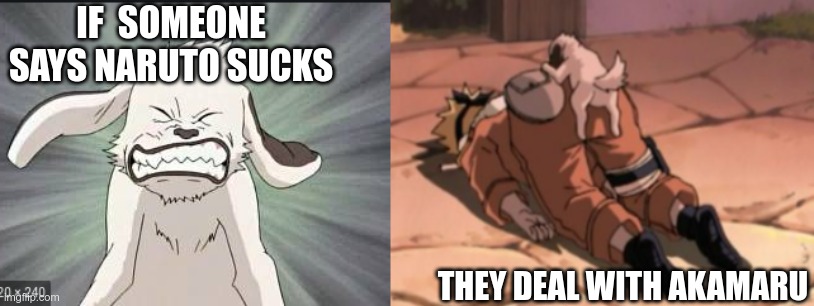 IF  SOMEONE SAYS NARUTO SUCKS; THEY DEAL WITH AKAMARU | image tagged in akamaru | made w/ Imgflip meme maker