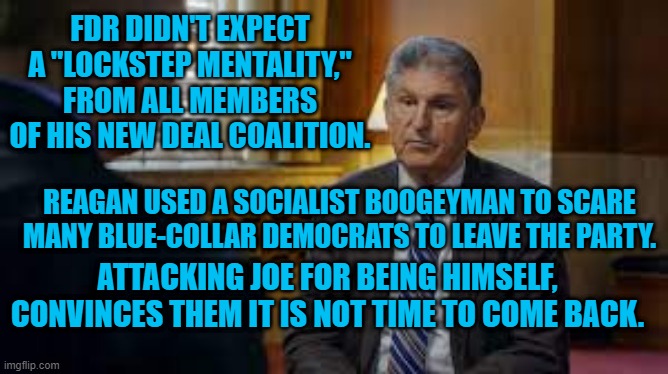 Don't shoot your own soldiers. | FDR DIDN'T EXPECT A "LOCKSTEP MENTALITY," FROM ALL MEMBERS OF HIS NEW DEAL COALITION. REAGAN USED A SOCIALIST BOOGEYMAN TO SCARE MANY BLUE-COLLAR DEMOCRATS TO LEAVE THE PARTY. ATTACKING JOE FOR BEING HIMSELF, CONVINCES THEM IT IS NOT TIME TO COME BACK. | image tagged in politics | made w/ Imgflip meme maker