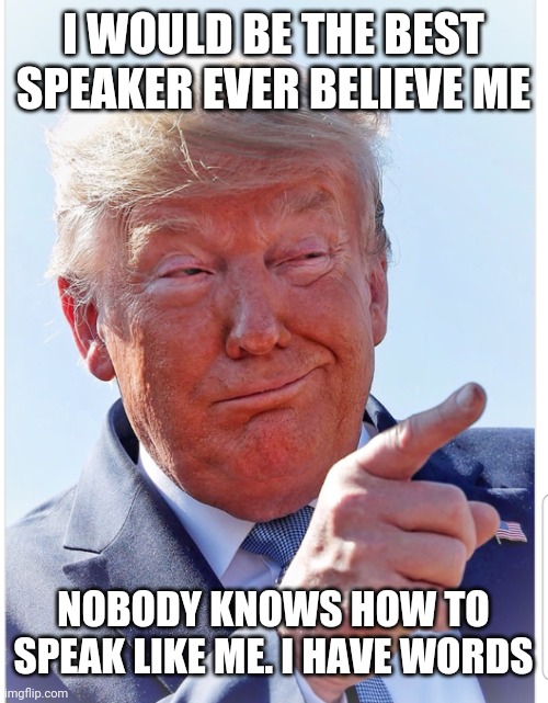 Trump pointing | I WOULD BE THE BEST SPEAKER EVER BELIEVE ME NOBODY KNOWS HOW TO SPEAK LIKE ME. I HAVE WORDS | image tagged in trump pointing | made w/ Imgflip meme maker