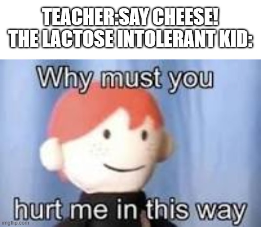 Why must you hurt me in this way | TEACHER:SAY CHEESE!
THE LACTOSE INTOLERANT KID: | image tagged in why must you hurt me in this way | made w/ Imgflip meme maker