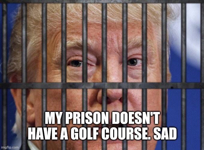 Trump prison bars | MY PRISON DOESN'T HAVE A GOLF COURSE. SAD | image tagged in trump prison bars | made w/ Imgflip meme maker