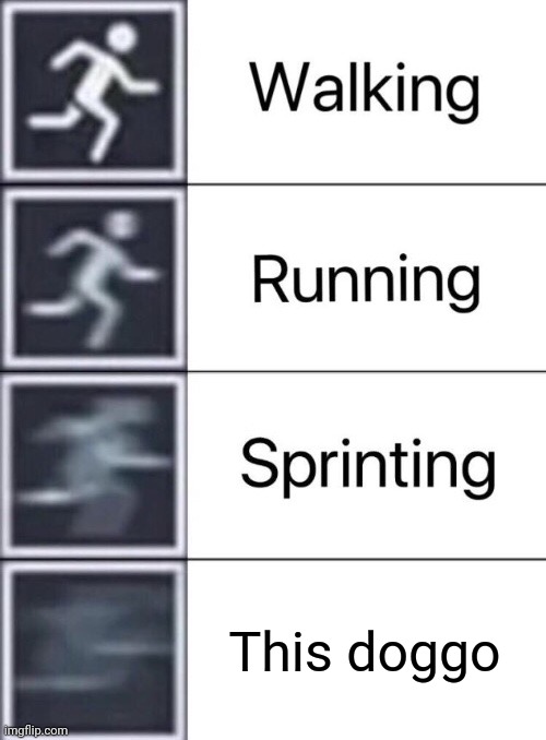 Note for the mods: I know I'm posting a lot today, let me know if you think I'm bothering you too much | This doggo | image tagged in walking running sprinting | made w/ Imgflip meme maker