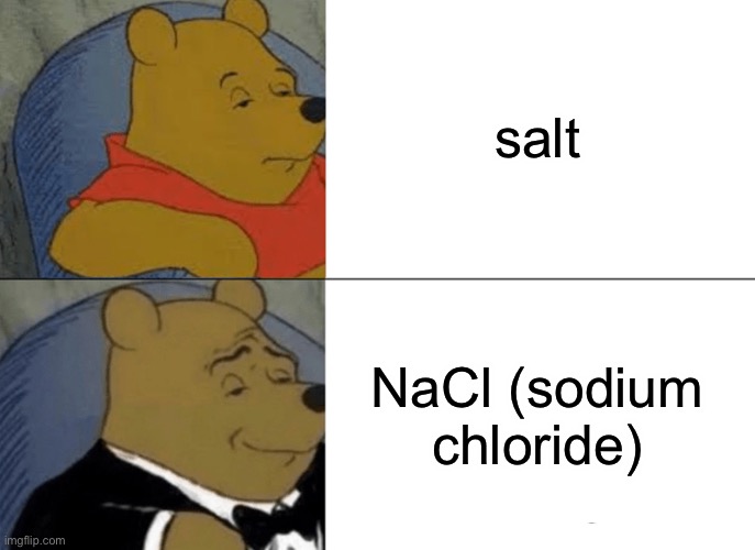 sallt | salt; NaCl (sodium chloride) | image tagged in memes,tuxedo winnie the pooh | made w/ Imgflip meme maker