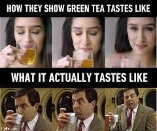 the Lies i tell you | image tagged in meme,mr bean,the lies | made w/ Imgflip meme maker