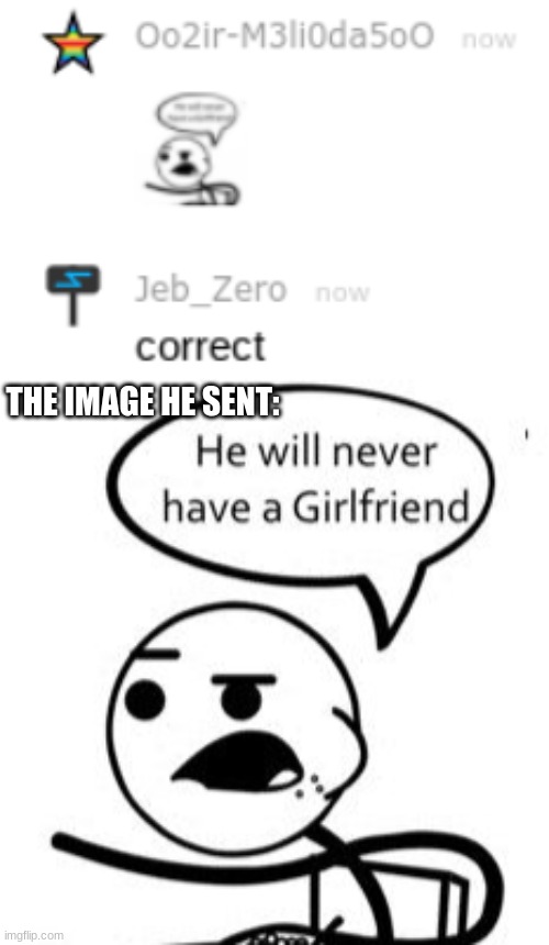 THE IMAGE HE SENT: | image tagged in memes,he will never get a girlfriend | made w/ Imgflip meme maker