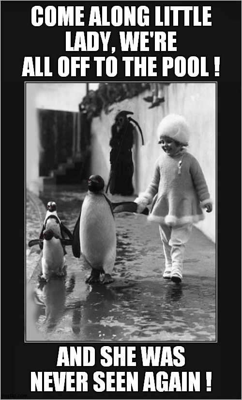 An Evil Penguin ? | COME ALONG LITTLE LADY, WE'RE ALL OFF TO THE POOL ! AND SHE WAS NEVER SEEN AGAIN ! | image tagged in evil,penguin | made w/ Imgflip meme maker