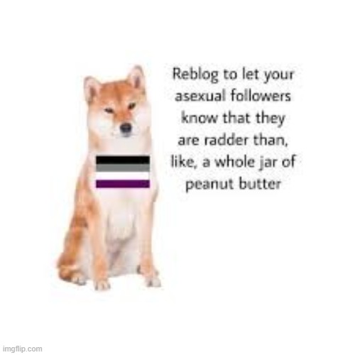 my friend showed me this lol | image tagged in dog,asexual | made w/ Imgflip meme maker