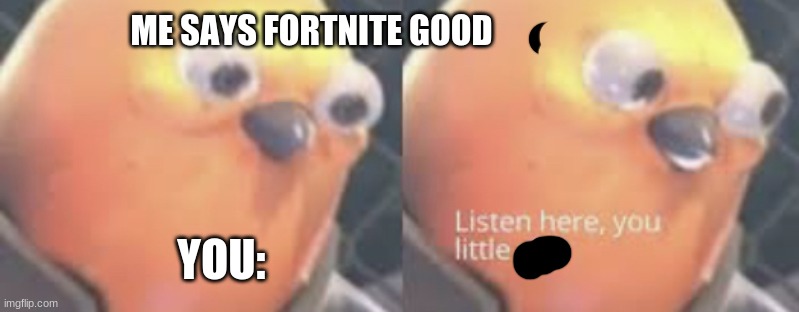 the last word is a bad word i dont want hate boo hoo | ME SAYS FORTNITE GOOD; YOU: | image tagged in listen here you little shit bird,cry baby | made w/ Imgflip meme maker