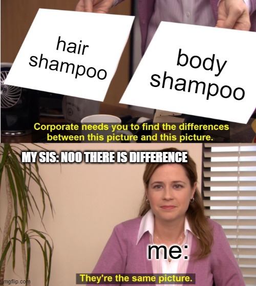 I honestly think there isnt a difference | hair shampoo; body shampoo; MY SIS: NOO THERE IS DIFFERENCE; me: | image tagged in memes,they're the same picture | made w/ Imgflip meme maker