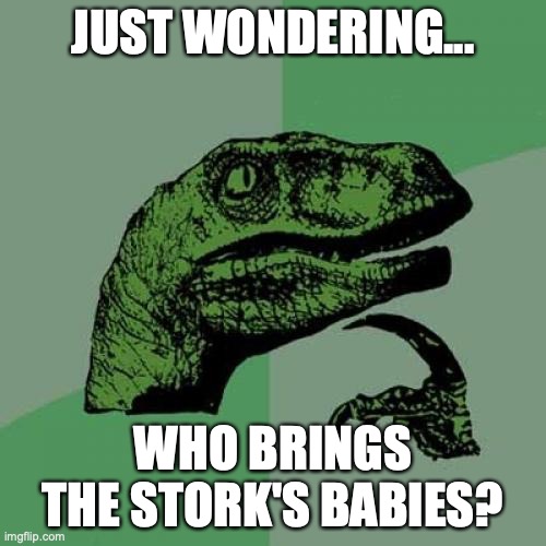 Stork's babies | JUST WONDERING... WHO BRINGS THE STORK'S BABIES? | image tagged in memes,philosoraptor,stork | made w/ Imgflip meme maker