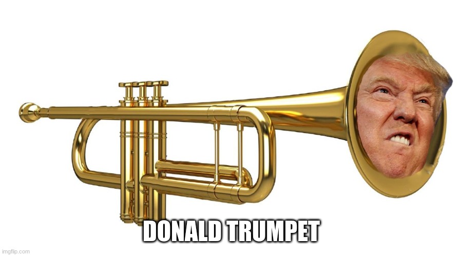 Donald Trumpet | DONALD TRUMPET | image tagged in donald trumpet | made w/ Imgflip meme maker