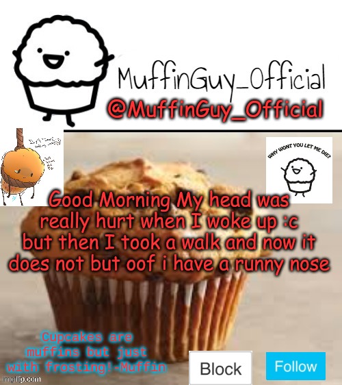 MuffinGuy_Official's Template. | Good Morning My head was really hurt when I woke up :c but then I took a walk and now it does not but oof i have a runny nose | image tagged in muffinguy_official's template | made w/ Imgflip meme maker