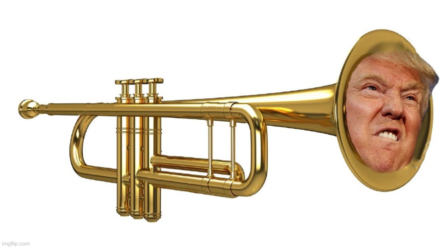 Donald Trumpet | image tagged in donald trumpet | made w/ Imgflip meme maker