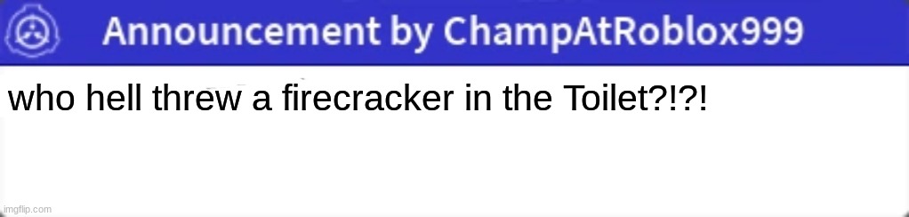 Announcement | who hell threw a firecracker in the Toilet?!?! | image tagged in announcement | made w/ Imgflip meme maker