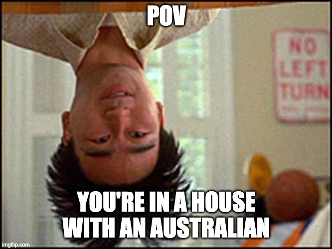 Long Duck Dong (upside down) | POV; YOU'RE IN A HOUSE WITH AN AUSTRALIAN | image tagged in long duck dong upside down | made w/ Imgflip meme maker