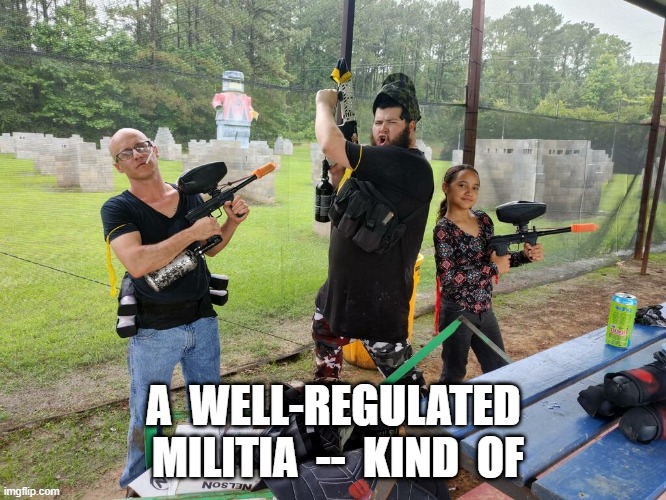 militia | A  WELL-REGULATED  MILITIA  --  KIND  OF | image tagged in militia | made w/ Imgflip meme maker