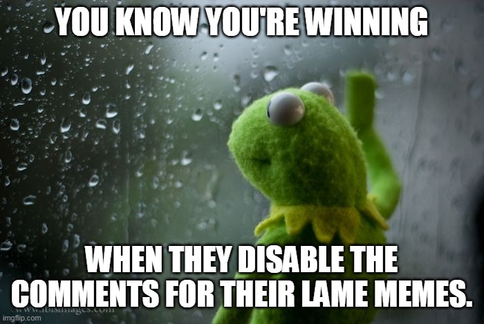 kermit window | YOU KNOW YOU'RE WINNING WHEN THEY DISABLE THE COMMENTS FOR THEIR LAME MEMES. | image tagged in kermit window | made w/ Imgflip meme maker