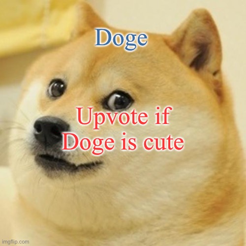 Doge | Doge; Upvote if Doge is cute | image tagged in memes,doge | made w/ Imgflip meme maker