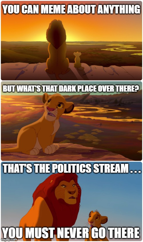 Lion King Meme | YOU CAN MEME ABOUT ANYTHING BUT WHAT'S THAT DARK PLACE OVER THERE? THAT'S THE POLITICS STREAM . . . YOU MUST NEVER GO THERE | image tagged in lion king meme | made w/ Imgflip meme maker