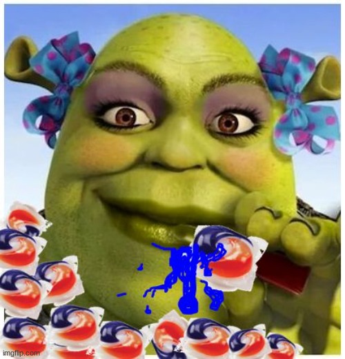 Lady Shrek Tide Pods | image tagged in lady shrek tide pods | made w/ Imgflip meme maker