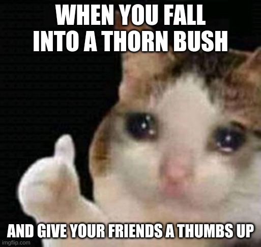 sad thumbs up cat | WHEN YOU FALL INTO A THORN BUSH; AND GIVE YOUR FRIENDS A THUMBS UP | image tagged in sad thumbs up cat | made w/ Imgflip meme maker