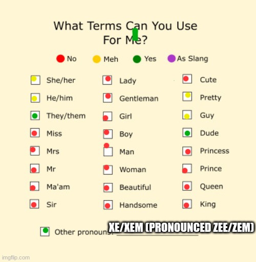 Pronouns Sheet | XE/XEM (PRONOUNCED ZEE/ZEM) | image tagged in pronouns sheet | made w/ Imgflip meme maker