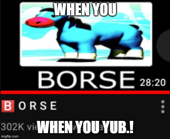 Video by YuB and template by CarlostheAnomulosidiot. | WHEN YOU; WHEN YOU YUB.! | image tagged in yub b o r s e | made w/ Imgflip meme maker