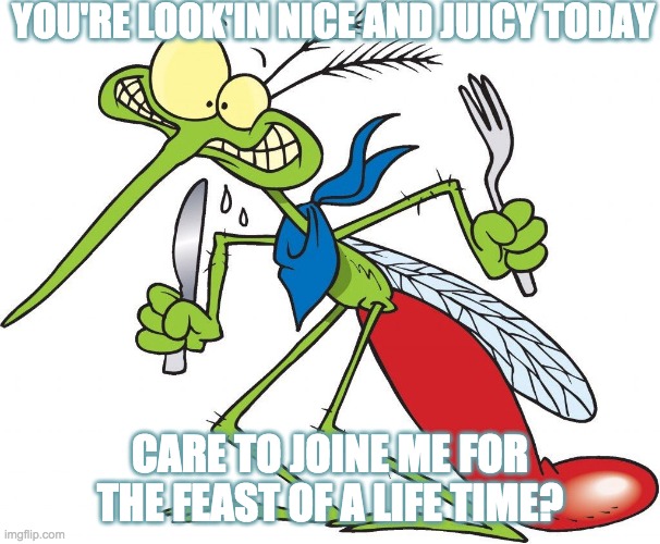 Parkhill mosquito | YOU'RE LOOK'IN NICE AND JUICY TODAY; CARE TO JOINE ME FOR THE FEAST OF A LIFE TIME? | image tagged in parkhill mosquito | made w/ Imgflip meme maker