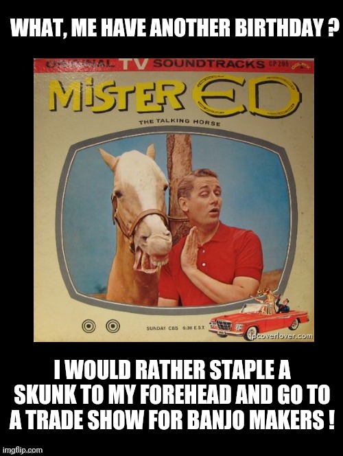 What, Me Have Another Birthday? | WHAT, ME HAVE ANOTHER BIRTHDAY ? I WOULD RATHER STAPLE A SKUNK TO MY FOREHEAD AND GO TO A TRADE SHOW FOR BANJO MAKERS ! | image tagged in happy birthday,mister ed,wilbur post,retro,funny birthday memes,funny | made w/ Imgflip meme maker