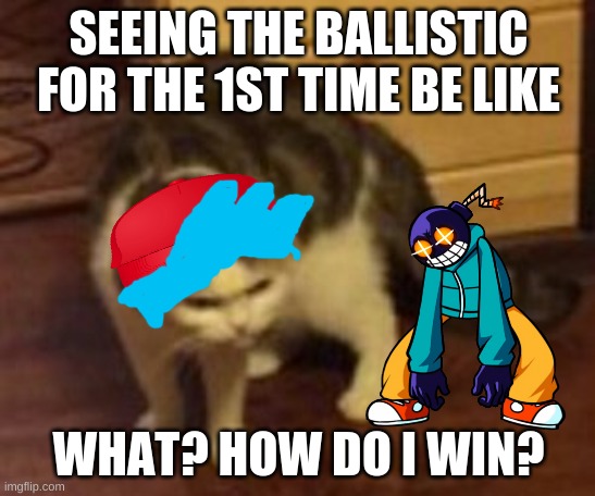 Loading cat | SEEING THE BALLISTIC FOR THE 1ST TIME BE LIKE; WHAT? HOW DO I WIN? | image tagged in loading cat,friday night funkin,mad whitty,cats | made w/ Imgflip meme maker