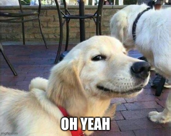 dog smiling | OH YEAH | image tagged in dog smiling | made w/ Imgflip meme maker