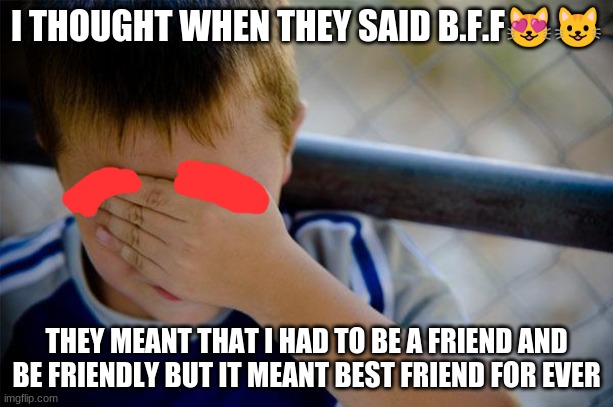 it meant something else but i thought it as a different thing | I THOUGHT WHEN THEY SAID B.F.F😻😺; THEY MEANT THAT I HAD TO BE A FRIEND AND BE FRIENDLY BUT IT MEANT BEST FRIEND FOR EVER | image tagged in memes,confession kid | made w/ Imgflip meme maker