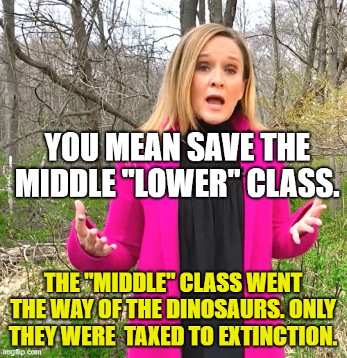 Samantha Bee Whines | YOU MEAN SAVE THE MIDDLE "LOWER" CLASS. THE "MIDDLE" CLASS WENT THE WAY OF THE DINOSAURS. ONLY THEY WERE  TAXED TO EXTINCTION. | image tagged in samantha bee whines | made w/ Imgflip meme maker