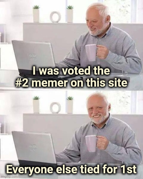 It's been fun | I was voted the #2 memer on this site; Everyone else tied for 1st | image tagged in memes,hide the pain harold,breaking news,broken heart,and i took that personally,no need to thank me | made w/ Imgflip meme maker