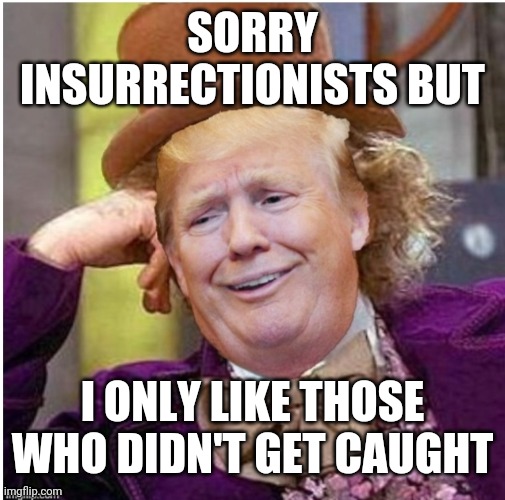 Donald explaining why he didn't hand out pardons to the Capitol rioters | SORRY INSURRECTIONISTS BUT; I ONLY LIKE THOSE WHO DIDN'T GET CAUGHT | image tagged in wonka trump | made w/ Imgflip meme maker