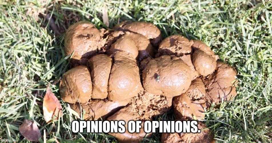 Alabama pile of shit  | OPINIONS OF OPINIONS. | image tagged in alabama pile of shit | made w/ Imgflip meme maker
