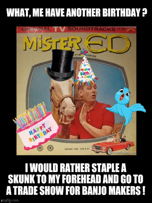 Happy Birthday from Mr Ed | image tagged in mister ed,wilbur post,horses,funny,funny birthday memes,happy birthday | made w/ Imgflip meme maker