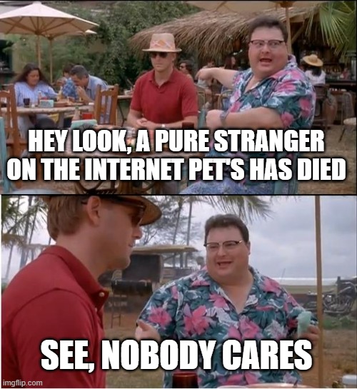 too many of thoses lately | HEY LOOK, A PURE STRANGER ON THE INTERNET PET'S HAS DIED; SEE, NOBODY CARES | image tagged in memes,see nobody cares | made w/ Imgflip meme maker