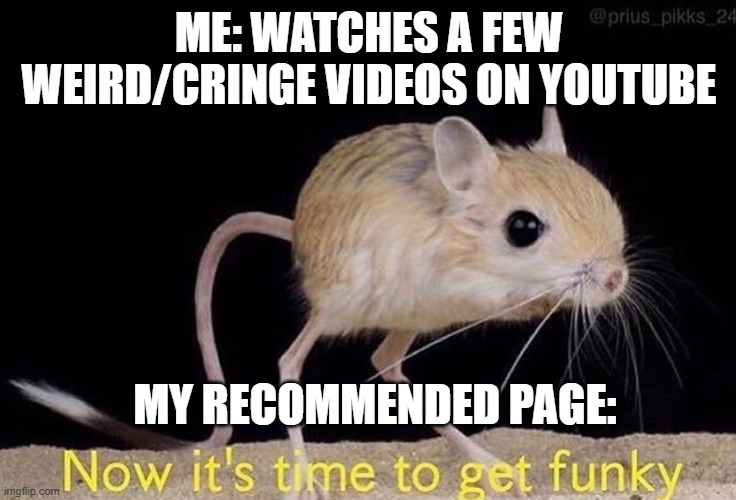 YouTube in a nutshell | ME: WATCHES A FEW WEIRD/CRINGE VIDEOS ON YOUTUBE; MY RECOMMENDED PAGE: | image tagged in now its time to get funky | made w/ Imgflip meme maker